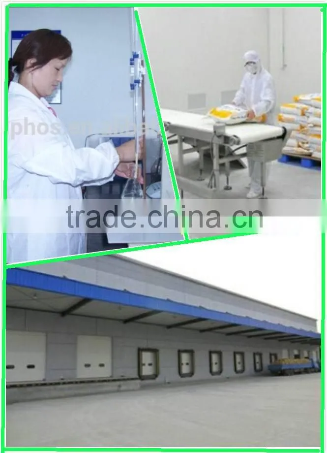 94% STPP--- Food Grade sodium tripolyphosphate