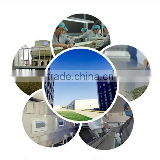 Chinese Pumpkin Seeds Best Selling Product