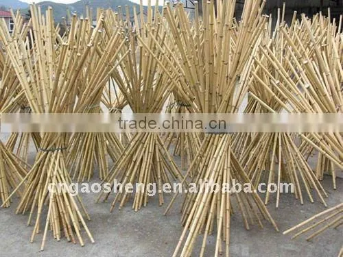 dan bamboo poles