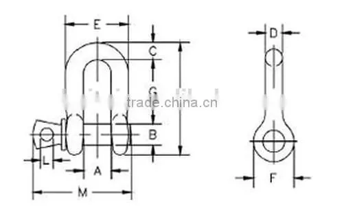 Stainless Steel Screw Pin Dee Shackle
