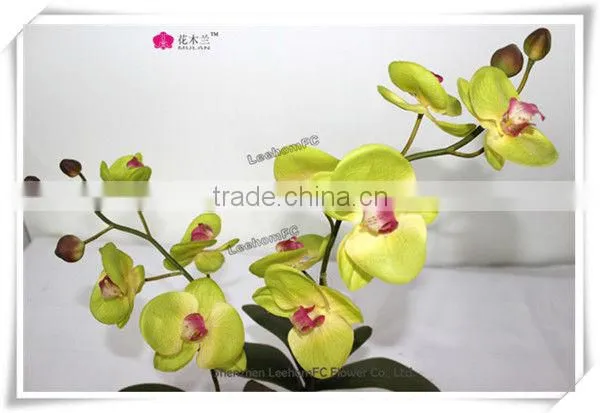 Lifelike Orchids Wedding Wholesale Potted Flower For Sale