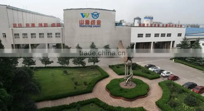 Coated White Top Test Liner