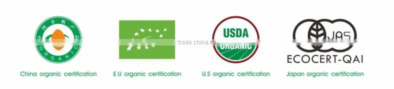 Hot sale china organic certified green tea