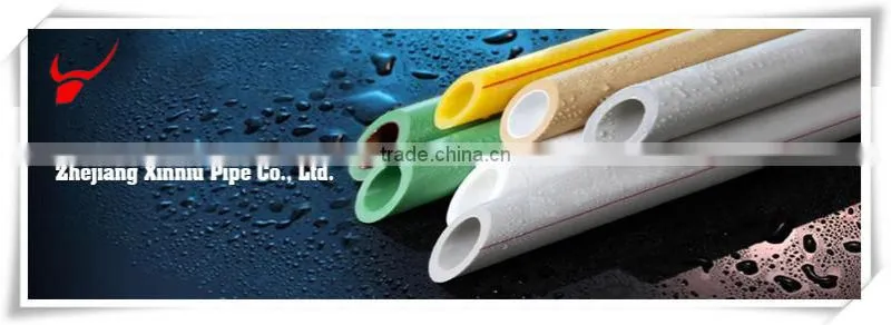 China factory direct sale pipe ppr branding material tube and hose