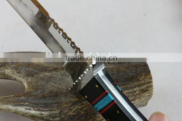 OEM fixed blade Collection knife with mirror surface