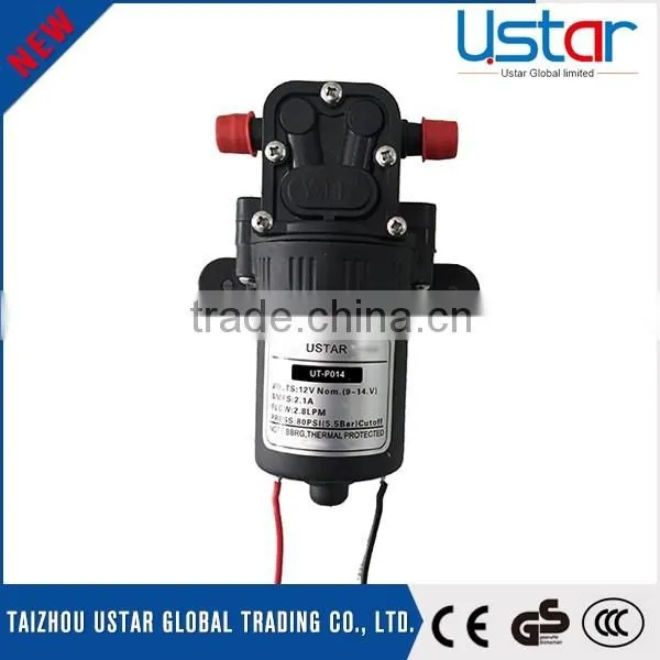 2.8-3.5Mpa pressure cheap 12v agriculture sprayer pump