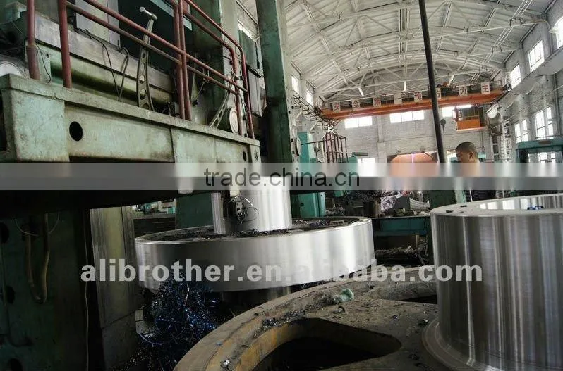 amusement rides manufacture roller coaster for sale in china