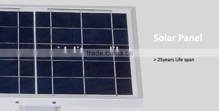6w led apple IP65 PIR sensor solar led garden light