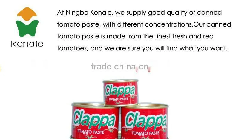 Tomato paste factory good quality/good service 70gX50tins