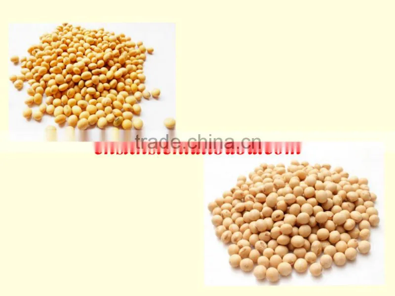 Hot sale dried soybeans in bulk with high quality