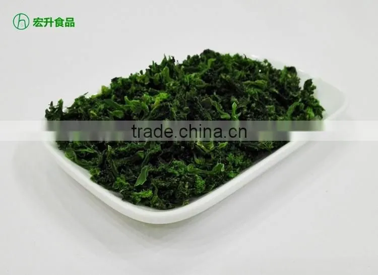 AD Type Dried Broccoli Powder Broccoli Sprout Powder