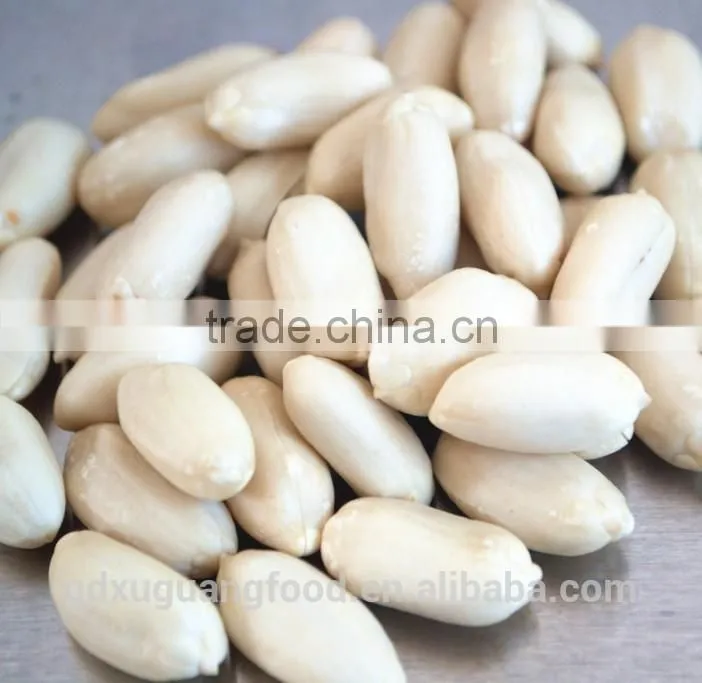 China peanut kernels & blanched peanut kernels 2529
