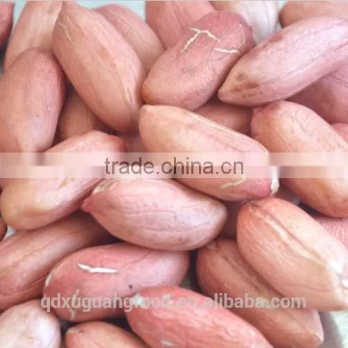 Chinese new crop blanched peanuts kernel
