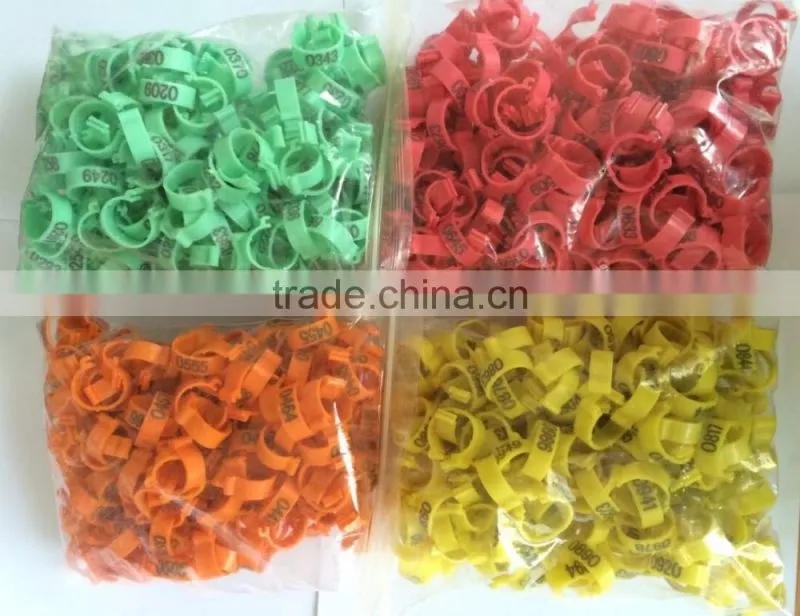 plastic chicken feet tag chicken rings/ tags for chicken