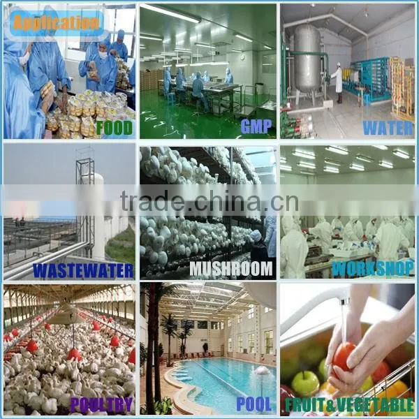 Industrial meat fruit vegetable sterilizer fresh water ozone machine