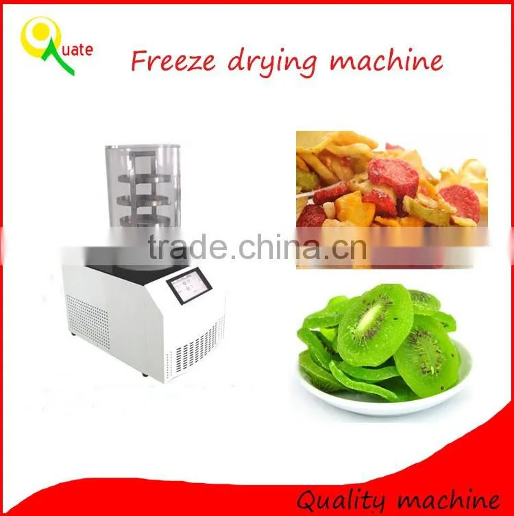 mini freeze dryer for test