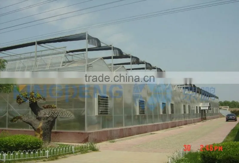 Greenhouse Film Plastic