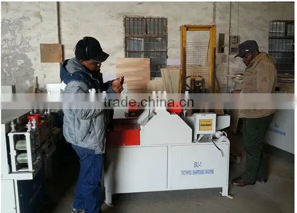 best-selling wood tooth pick machine with moderate price