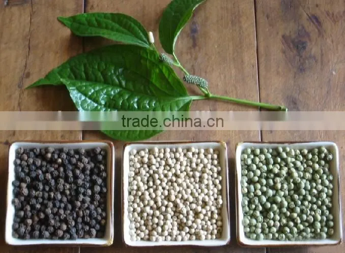Quality warranted good price pepper processing line