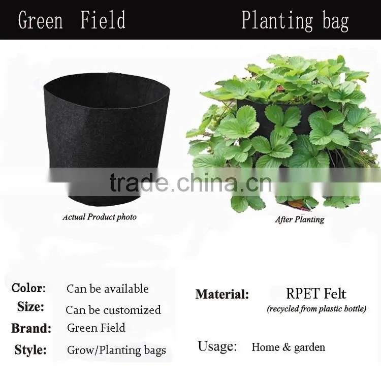 hydroponics felt plant pot,150 gallon felt plant pot