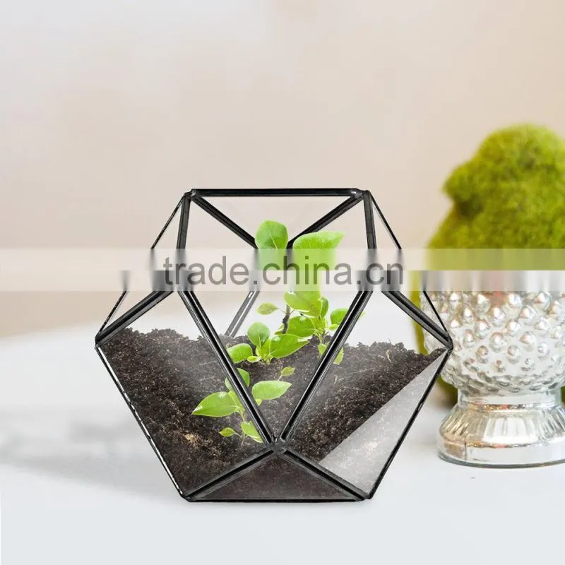 Yiwu direct wholesale,cheap price Cacti Holder Case & Glass Terrarium Diamond