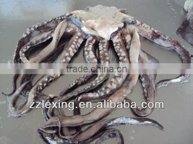 frozen peru giant squid tentacle,wing,neck,fillet,tube