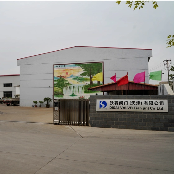 Hebei Disai Valve Co., Ltd. company overview - view 1