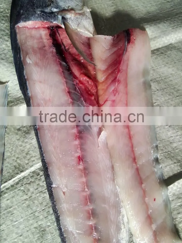 skin off mackerel fillet frozen spanish mackerel fillet