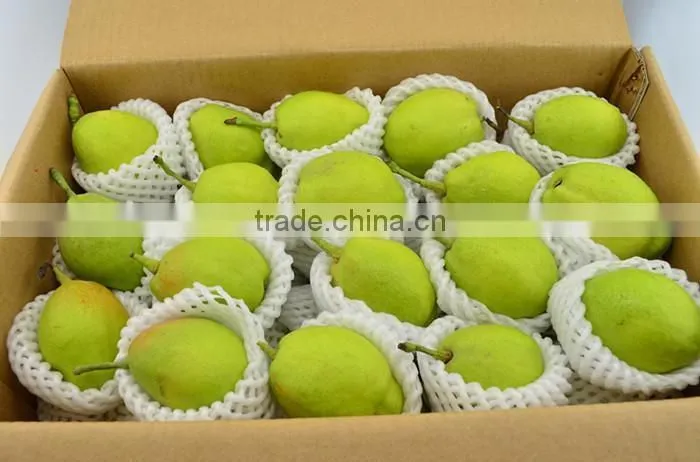 Huangguan Pear/ Crown pear / Golden pear