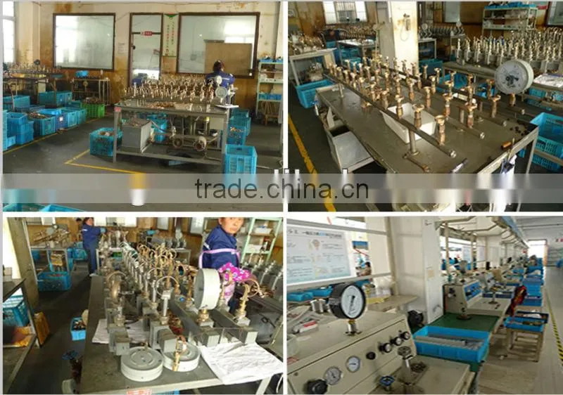 economic ss316 miniature watertight oil filled pressure gauge