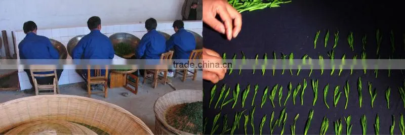 Tai Ping Hou Kui, Monkey King, Green Tea, Chinese Tea