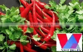 Fresh red big chili