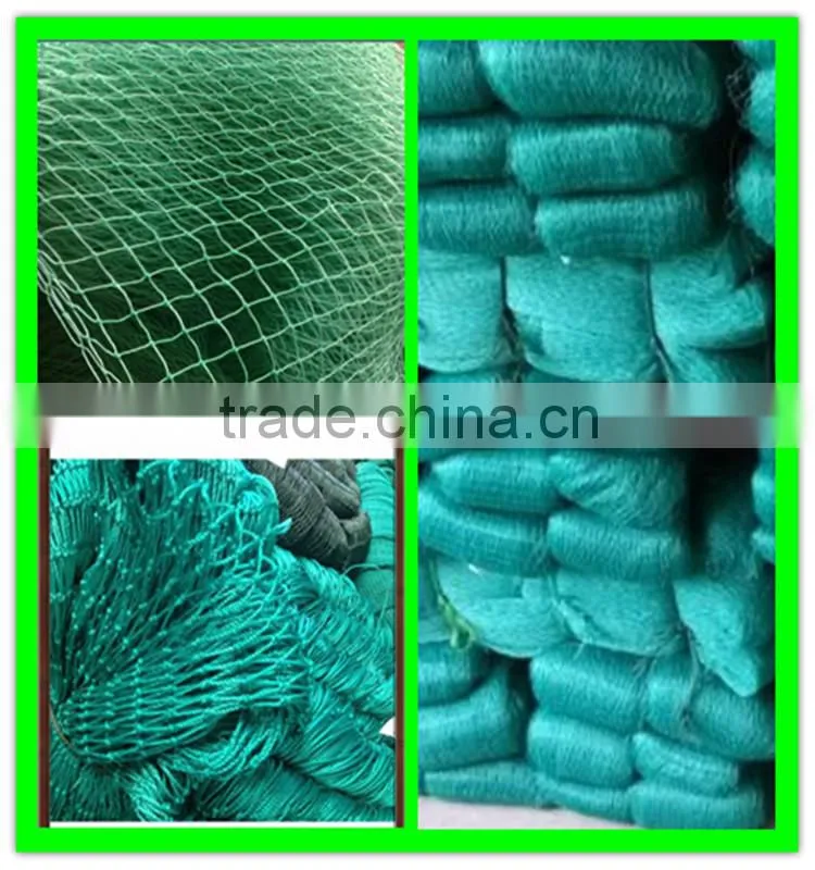 supply vineyard anti bird net/bird capture nets with low price