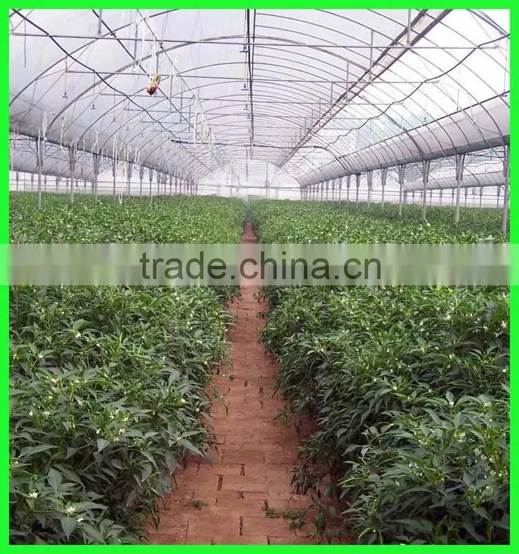 Suntex virgin PE protective anti-aging impervious greenhouse film,tunnel greenhouse roof covers seeding nursery warm house film