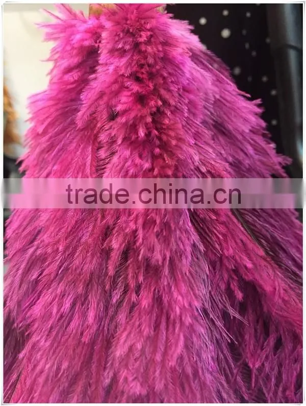 ostrich feather duster for house cleaning