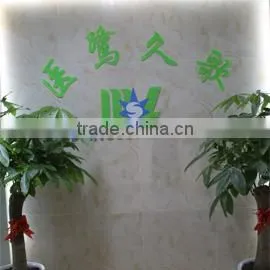 Guangzhou Medsinglong Medical Equipment Co., Ltd. company overview - view 3