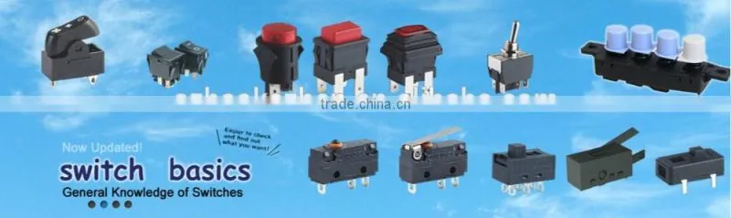 WP1-2S1 IP 65 IP67 waterproof micro switch for oven, BAOKEZHEN brand