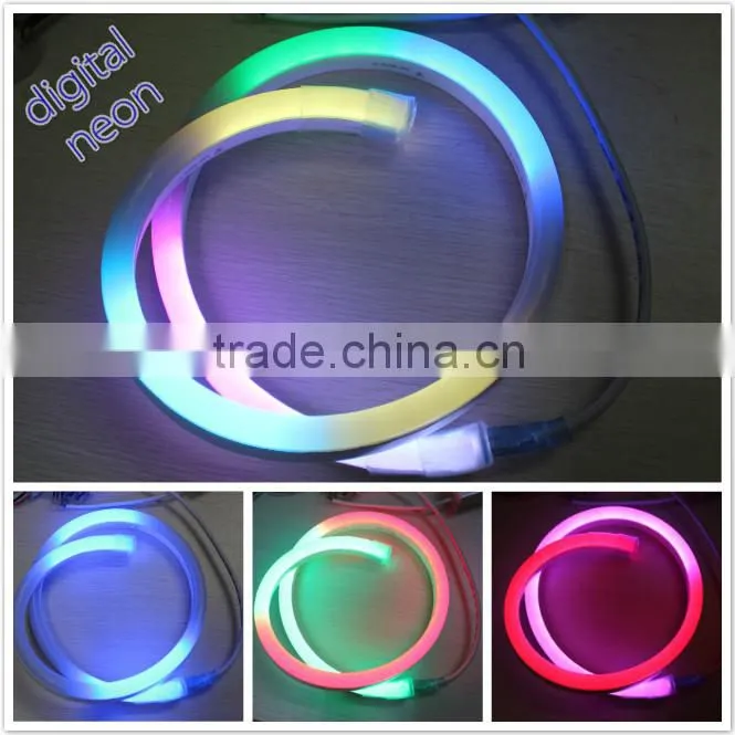 garden decoration 14*26mm digital fled led neon light for building