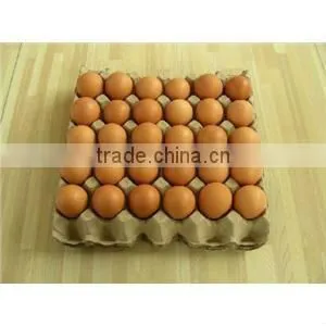 paper pulp egg tray molding machine