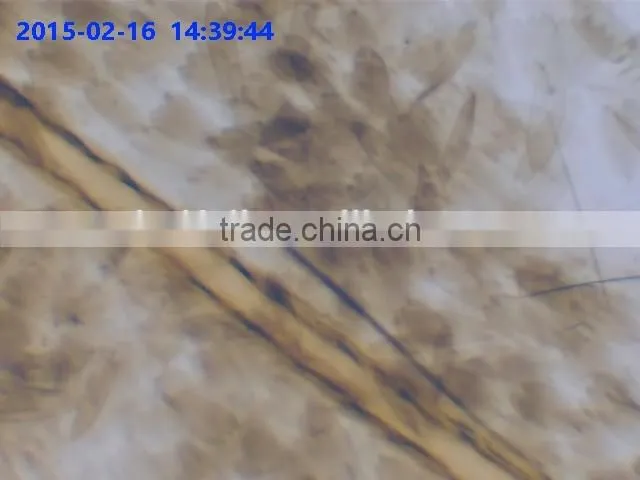 Cheapest Wholesale Microscope C-mount WIFI CMOS Camera fo Sale