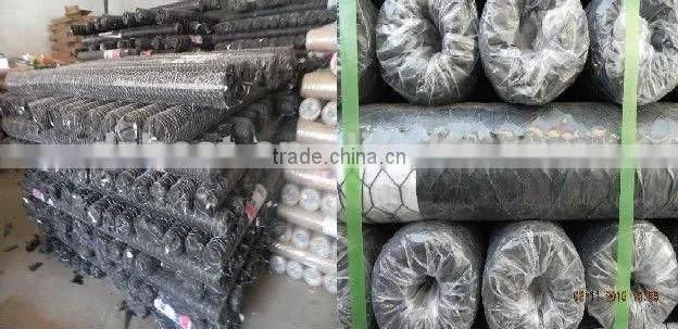 cheap galvanzied chicken choop wire mesh