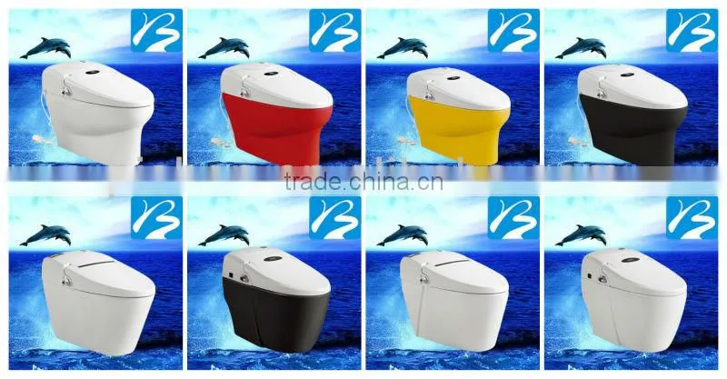 Siphon Automatic Toilet