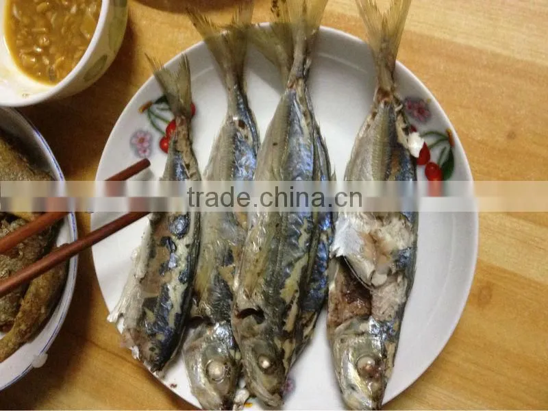 12-14pcs/kg Frozen Whole Round Scad Fish