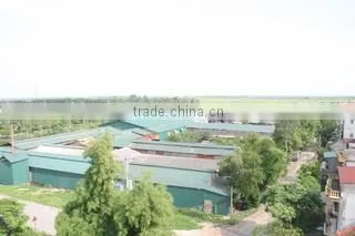Long Luu Produce And Trading Company Limited company overview - view 3