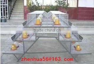 zhenhua chicken breeding cage/Chicken layer cages/ Laying chicken cages