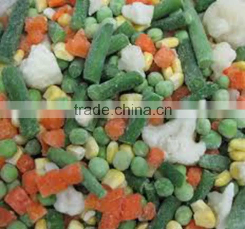 China manufacture high quality frozen vegetable organic