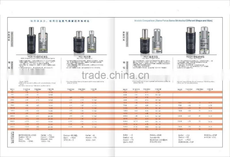 BORDIGNON standard nitrogen gas spring