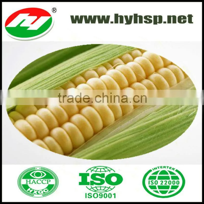 Sweet Corn in Vacuumed Pack