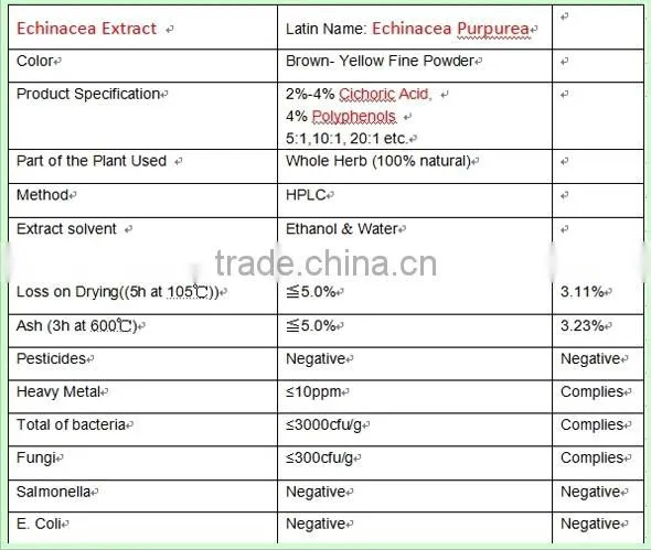 Echinacea Purpurea Extract echinacea purpurea extract in bulk