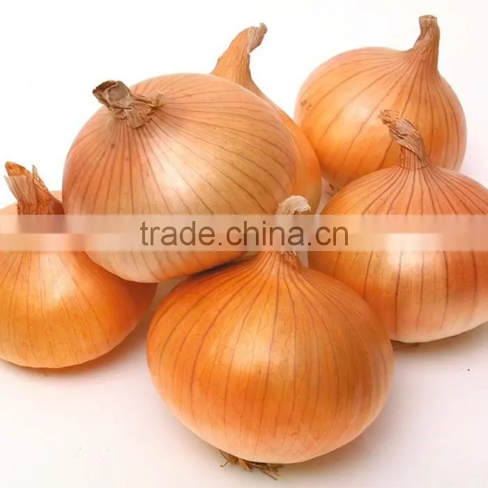 Dehydrated Yellow Onion Fresh Air Dried Style